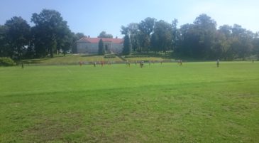 blog-grid